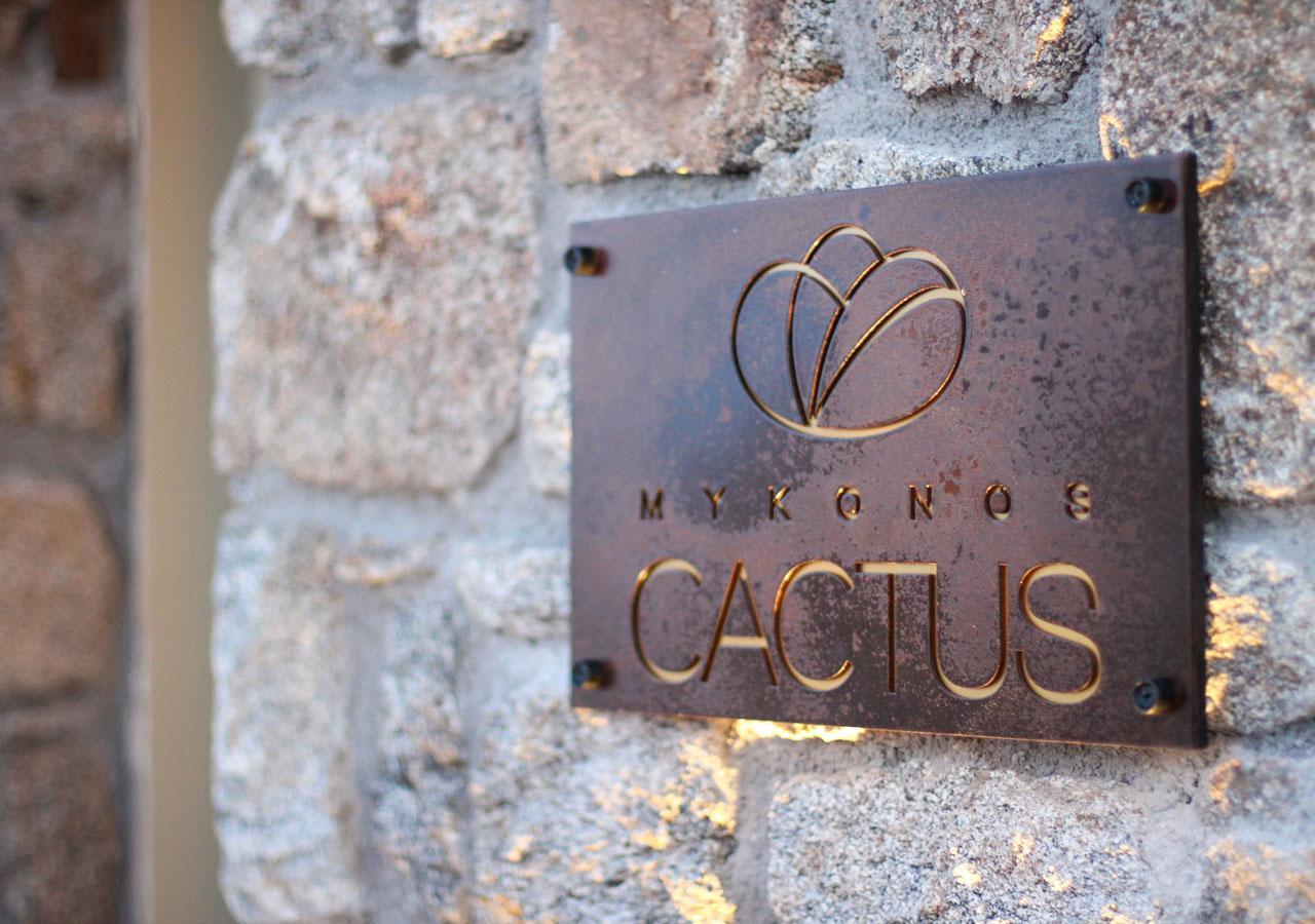 Mykonos Cactus Hotel ออร์นอส ภายนอก รูปภาพ